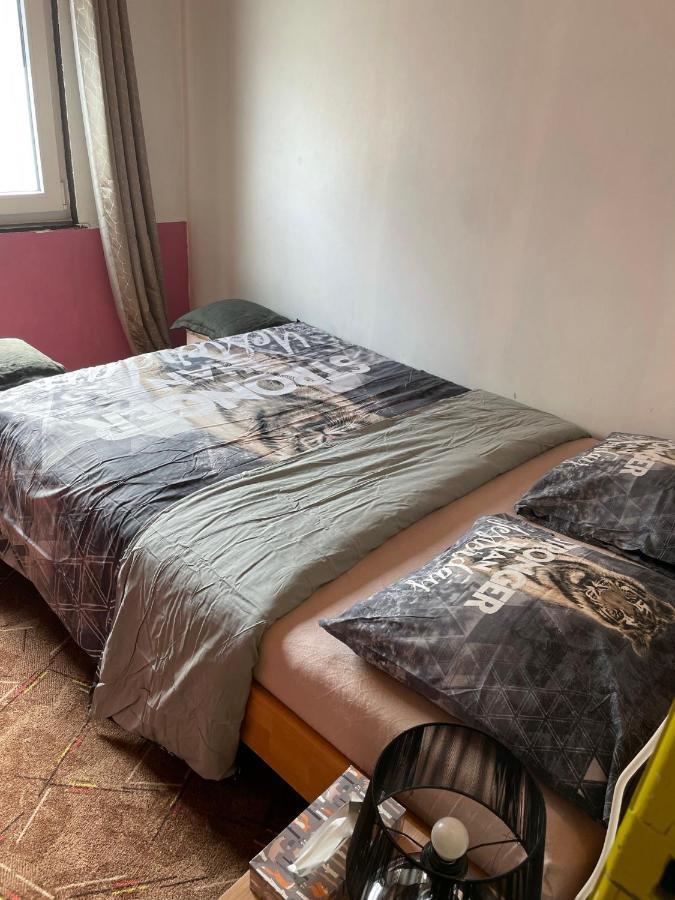Bien-Etre-Au-Calme Et Parking Gratuit Villa Seraing Bagian luar foto